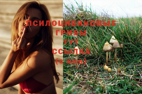 прущая мука Куйбышев