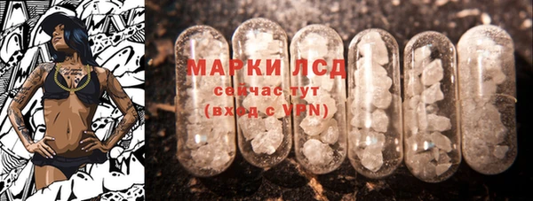 эйфоретик Кукмор