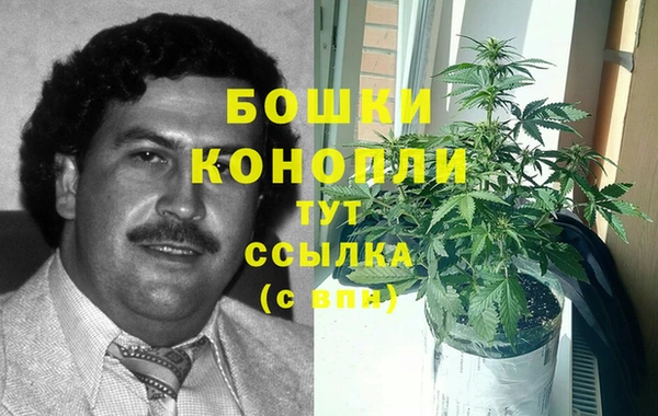 эйфоретик Кукмор