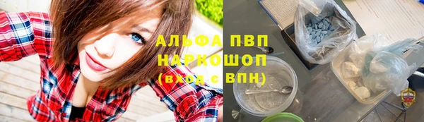 эйфоретик Кукмор