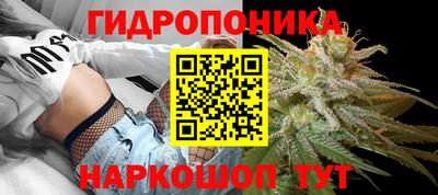 стафф Заволжье