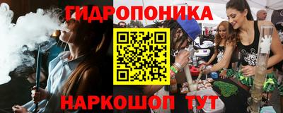 стафф Заволжье