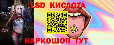стафф Заволжье