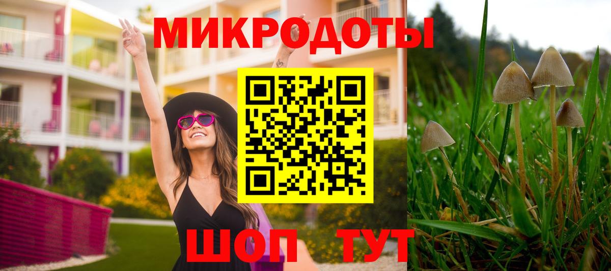 Псилоцибиновые грибы MAGIC MUSHROOMS  Галлюциногенные грибы мухоморы  Вход с VPN  Унеча 